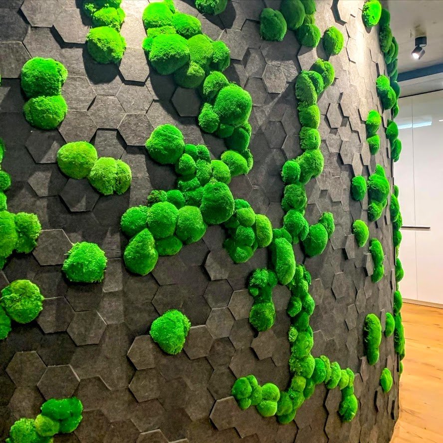 Стена из стабилизированного мха