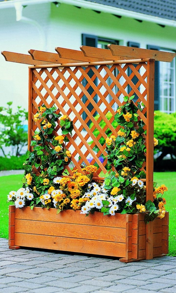 Трельяж в ландшафтном дизайне