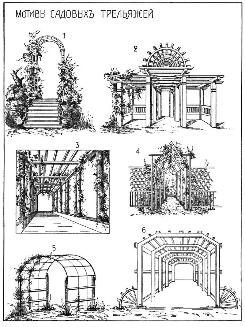 Схема перголы в ландшафтном дизайне
