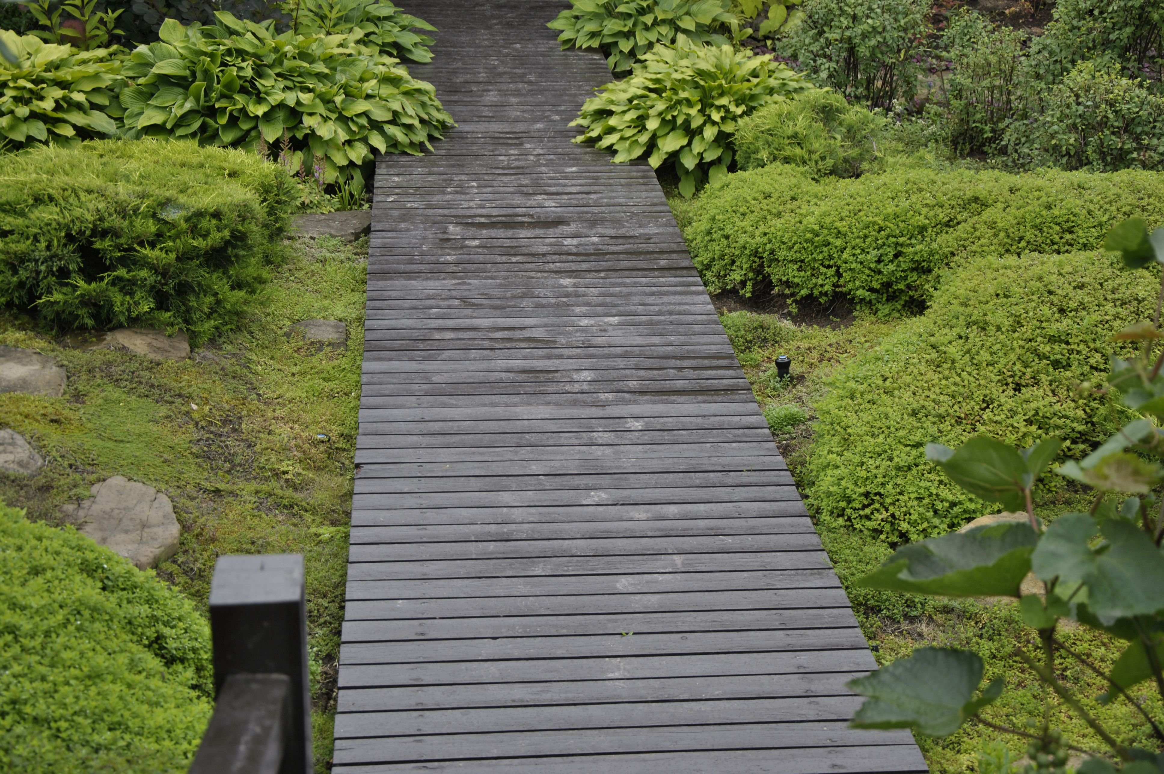 Деревянные дорожки на участке. Парк Коломенское декинг дорожка. Японский сад Елены Асташкиной. Дорожки из декинга в Лесном саду.