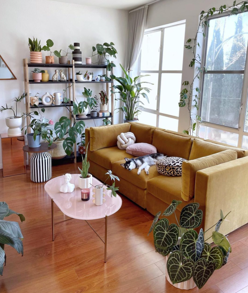 Комнатные цветы в интерер