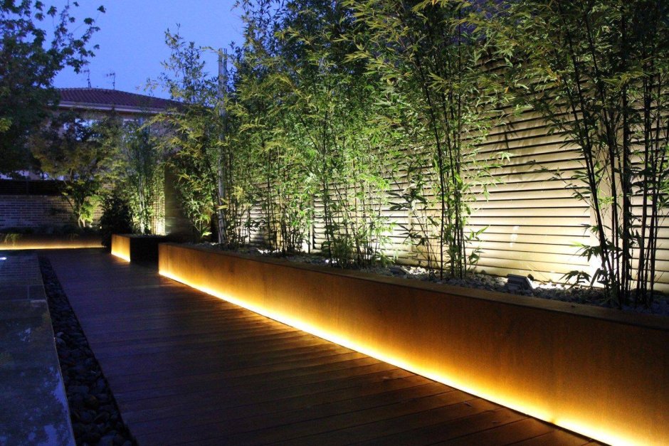 Свет в ландшафте