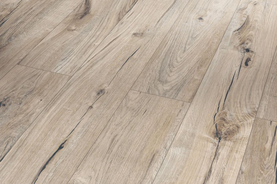 Ламинат ltt1 910 дуб Century лощеный Parador Trendline 1