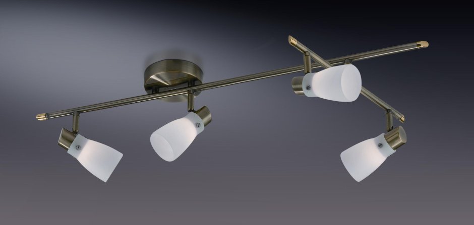 Спот Odeon Light yang 2474/4c