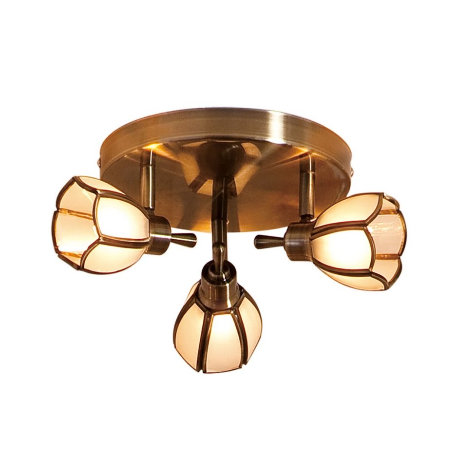 Спот Citilux Альтен cl522521