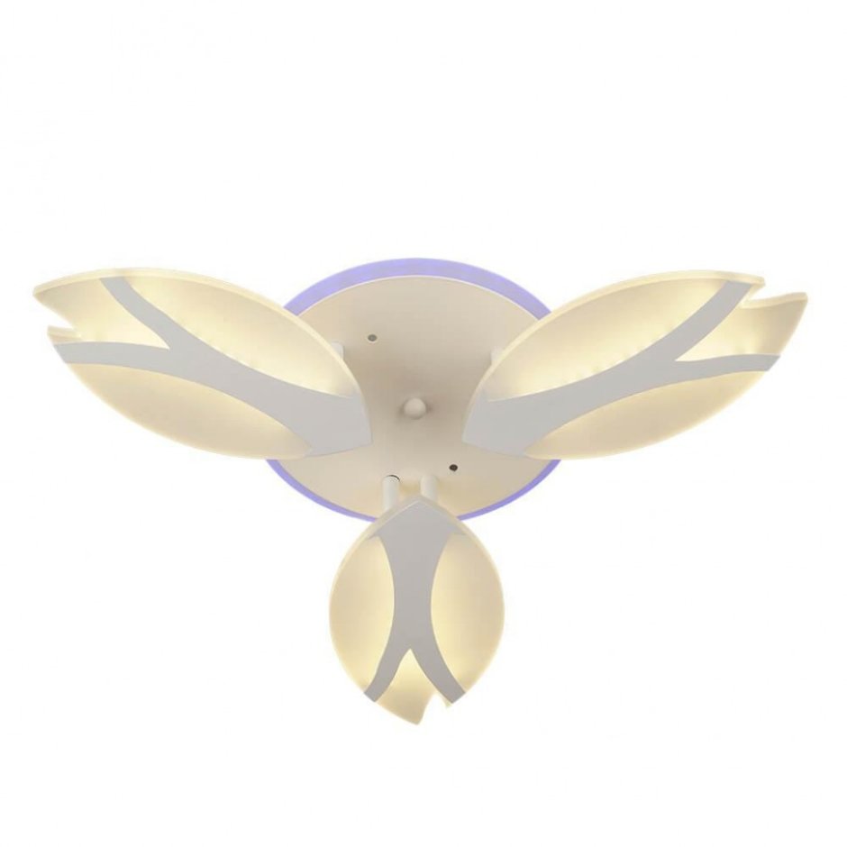 Люстра потолочная люстра WEDO Light 66411.01.05.05 Колорно