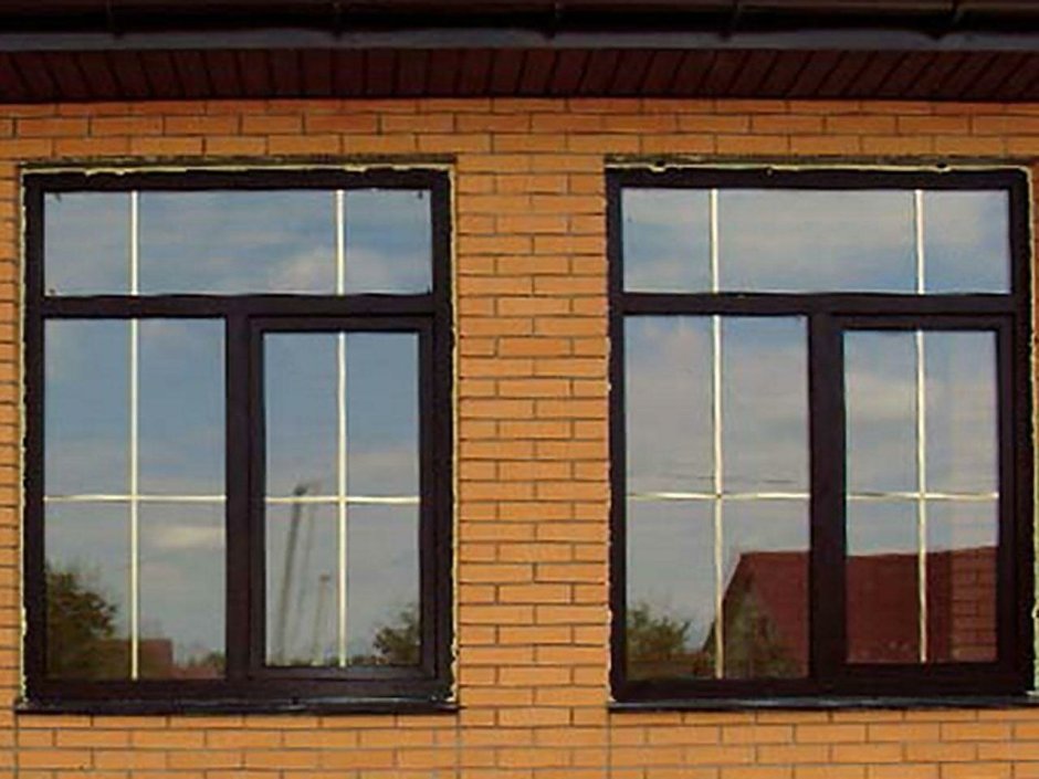 Золотой дуб шпросы