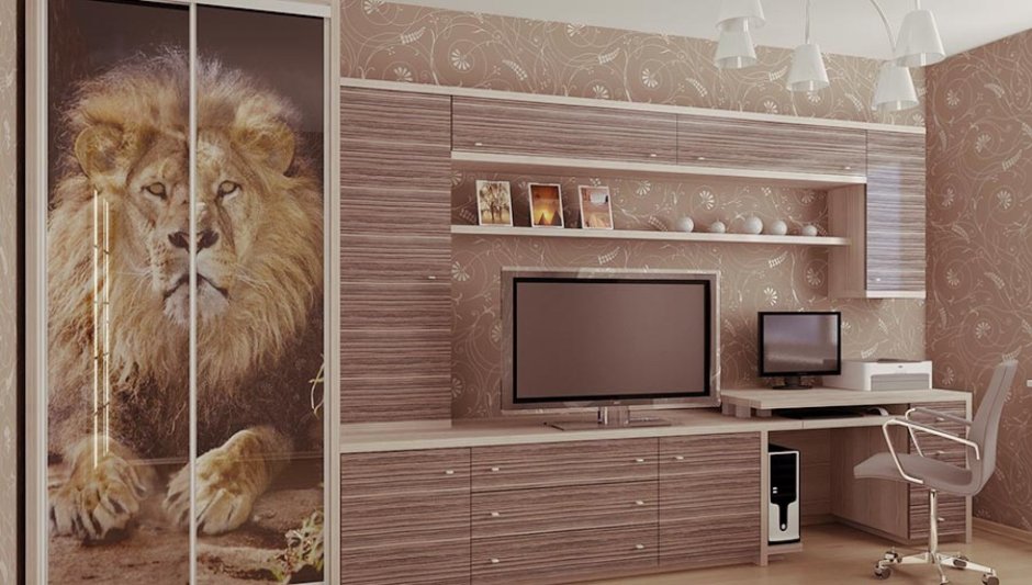 Шкаф купе с телевизором