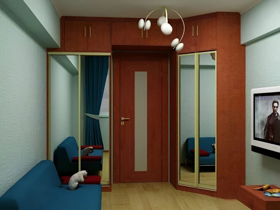 Шкаф вокруг двери в прихожей