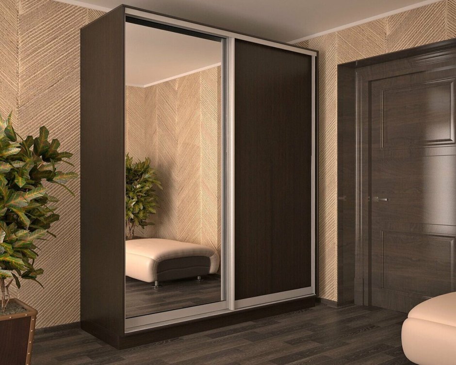 Шкаф купе с зеркалом