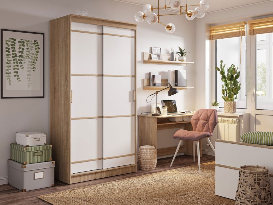 Шкаф-купе Сакура 1.14