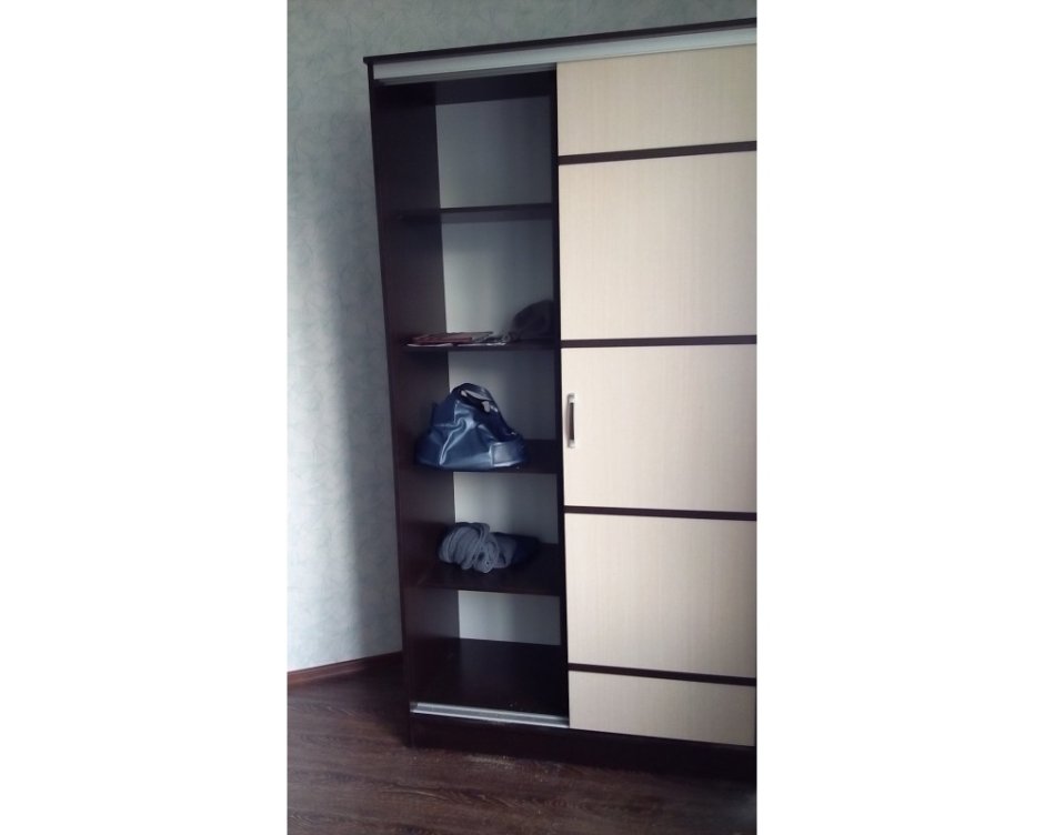 Шкаф-купе Сакура 1.14 БТС