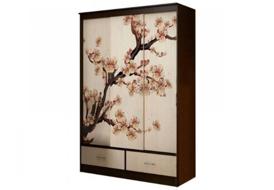 Шкаф-купе Модерн 2 Сакура миф