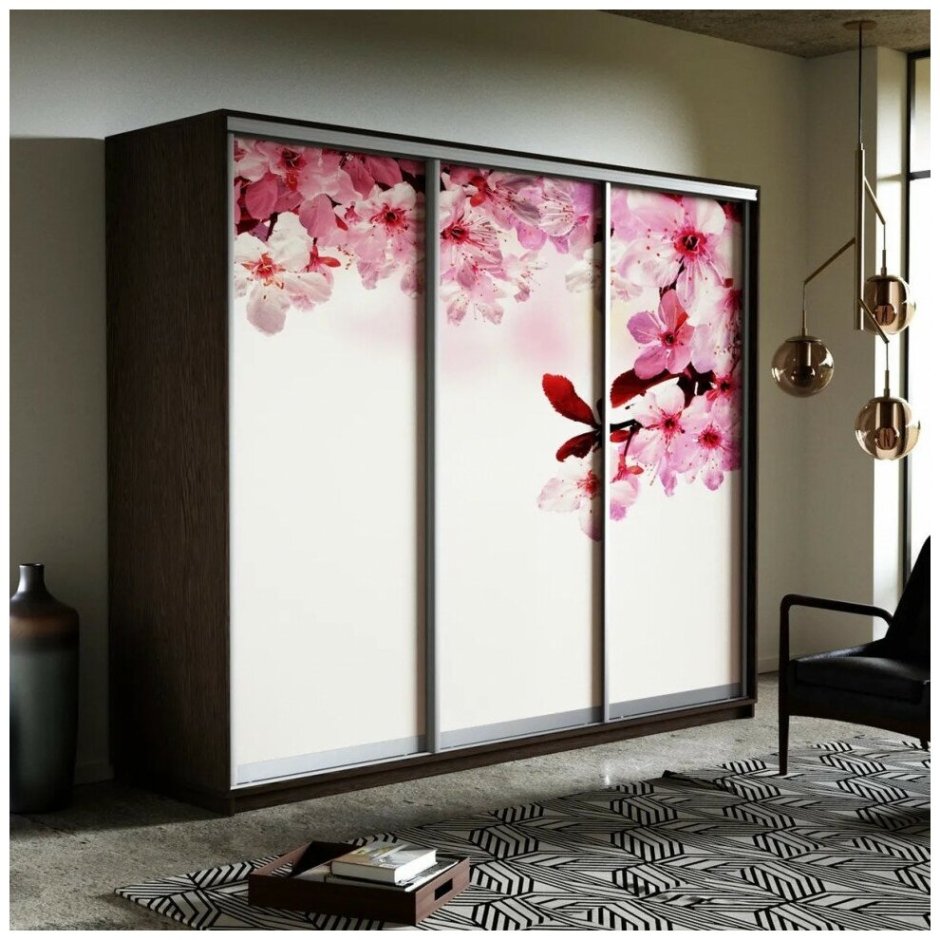 Шкаф купе с фотопечатью