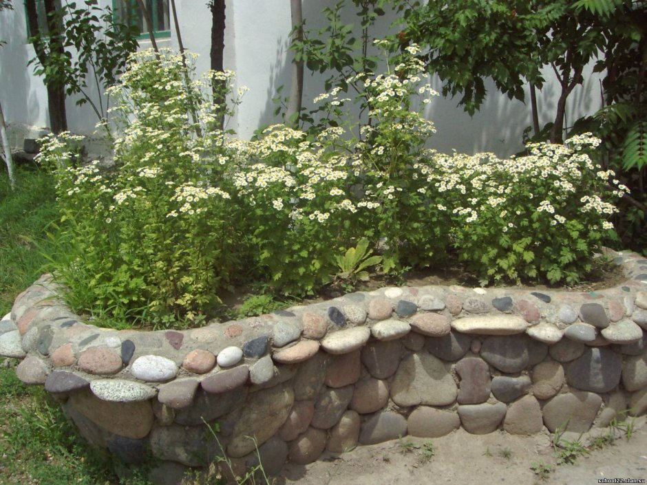Клумбы из дикого камня