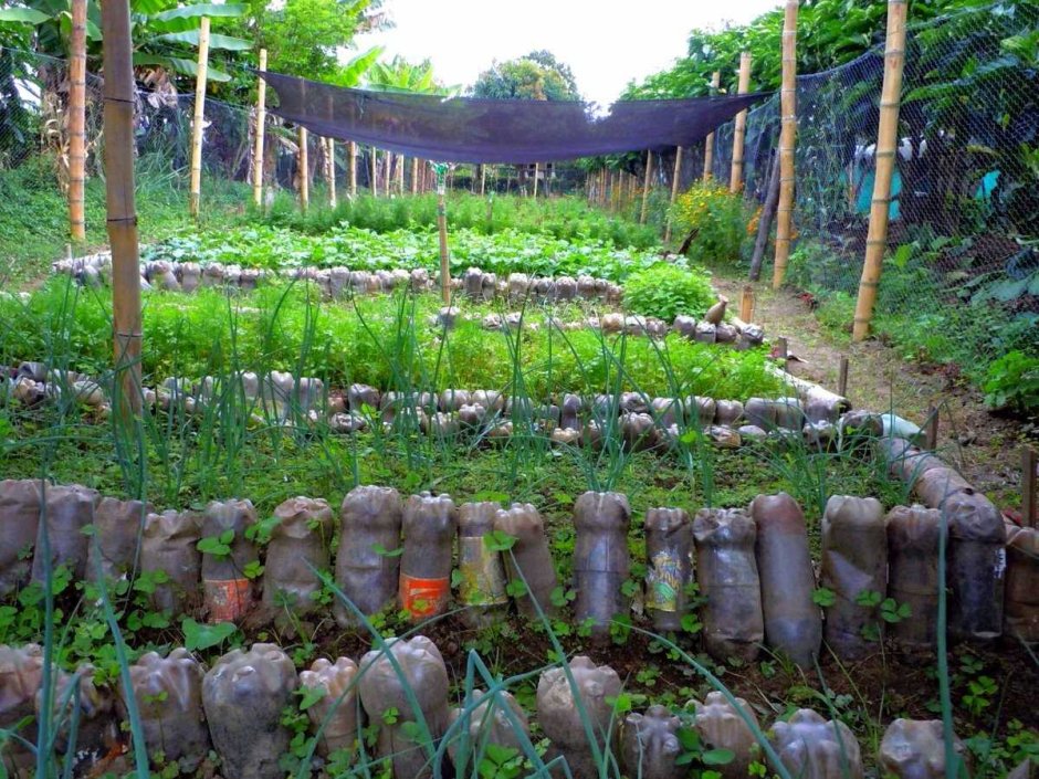 Бордюр из бутылок