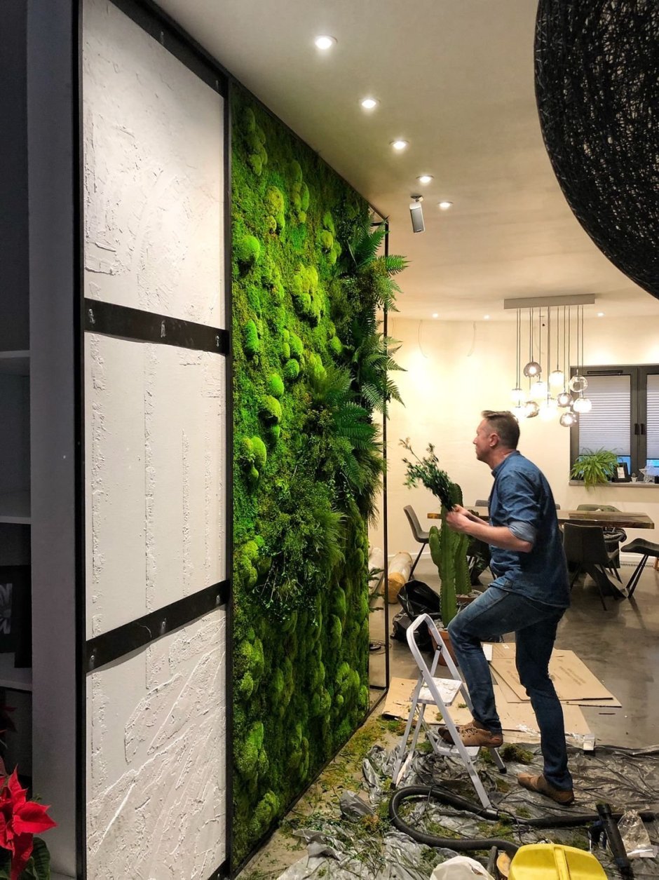 Фитостена ягель