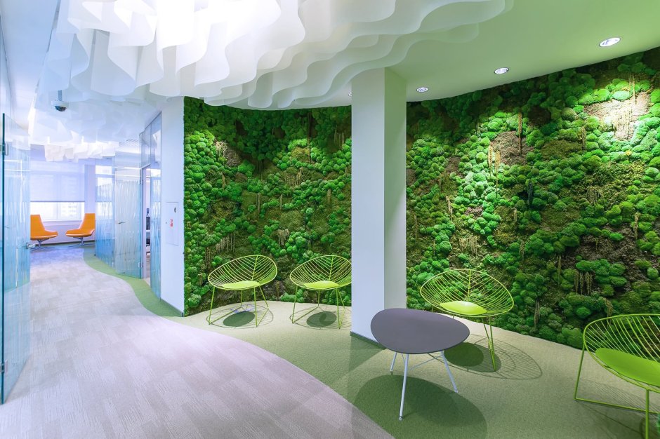 Фитостена мох стабилизированный