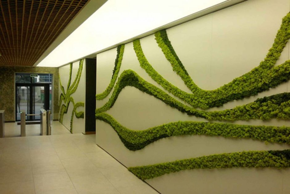 Фитостена из стабилизированного мха и растений