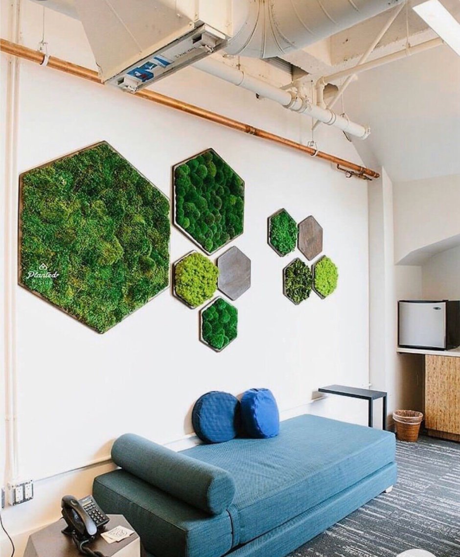 Стабилизированный мох в интерьере