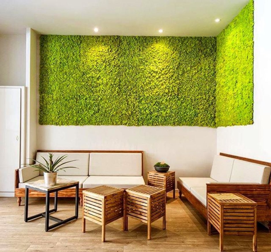 Стабилизированный мох в интерьере