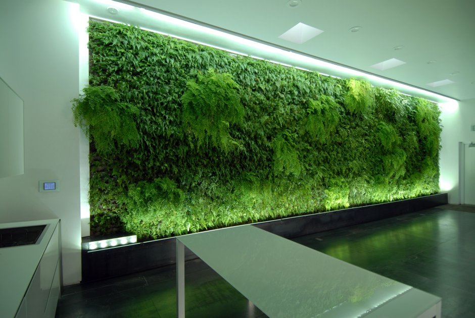 Фитостена мох стабилизированный