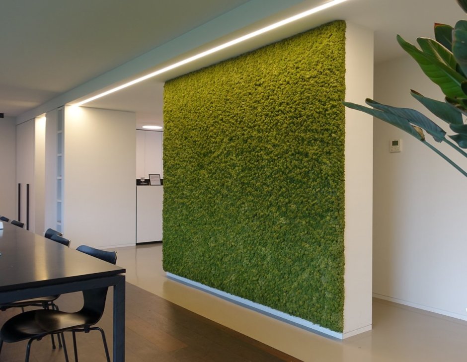 Мох ягель в интерьере