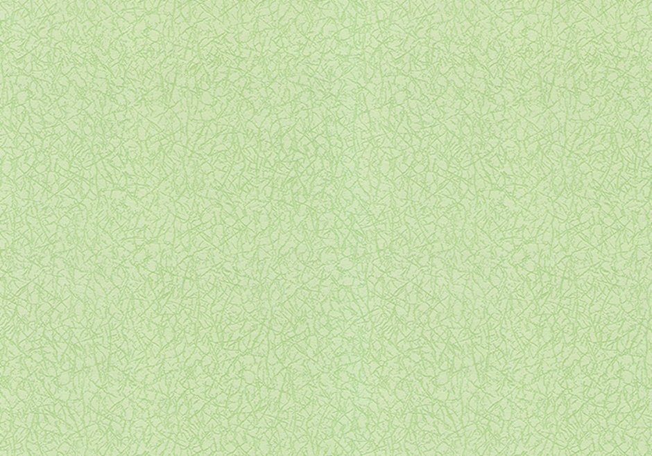 Обои светло зеленые для стен