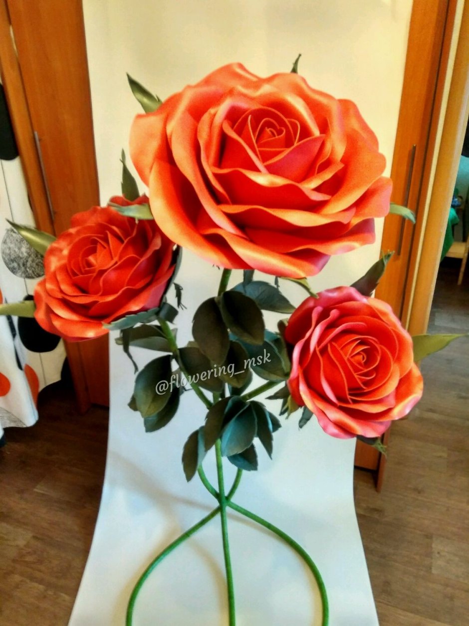 Роза изолон