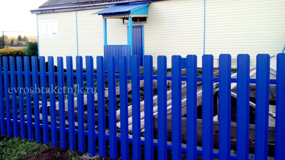 Забор из евроштакетника ультрамарин