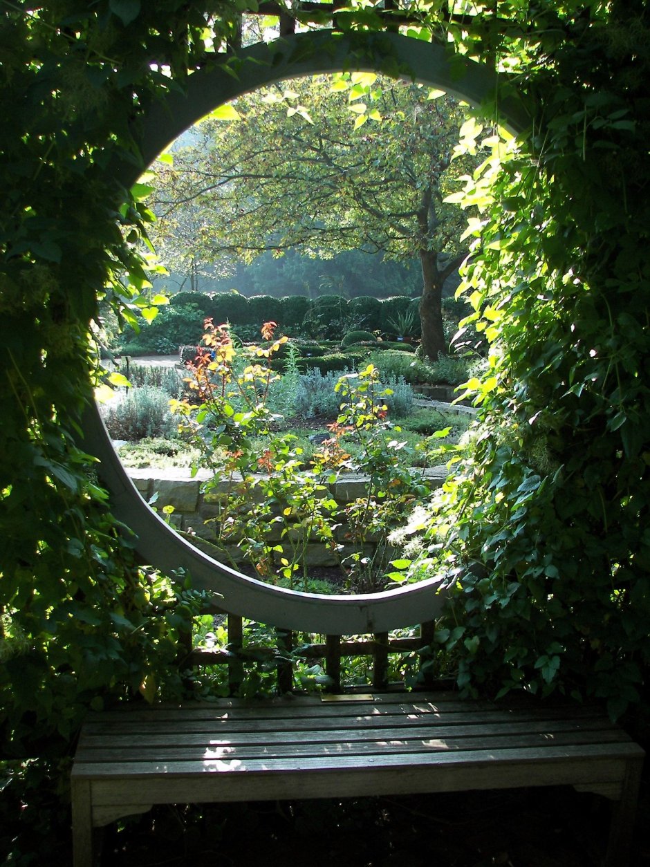 Беседка увитая зеленью