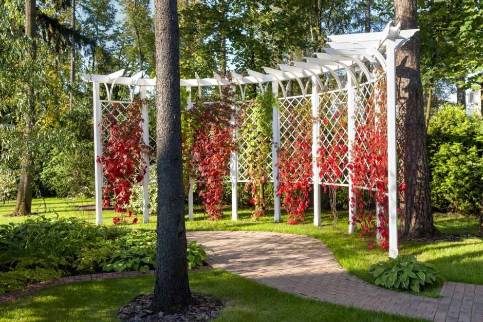 Шпалера парк Монсо