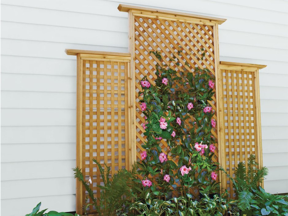 Трельяжные решетки в ландшафтном дизайне