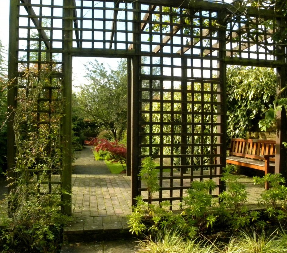 Берсо пергола трельяж