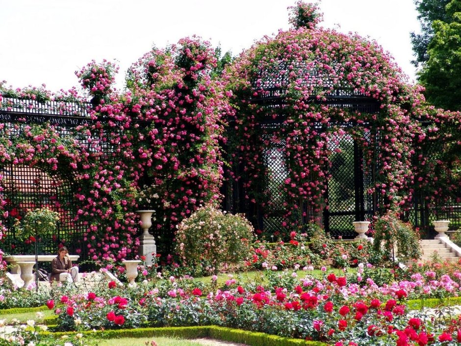 Розарий Франция