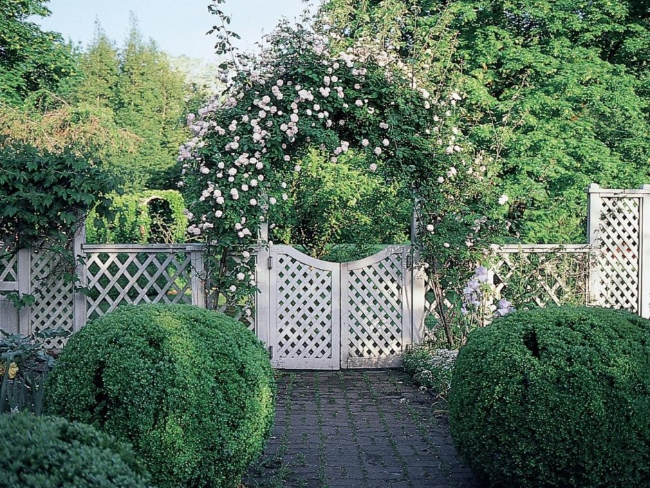 Шпалера Садовая увитая
