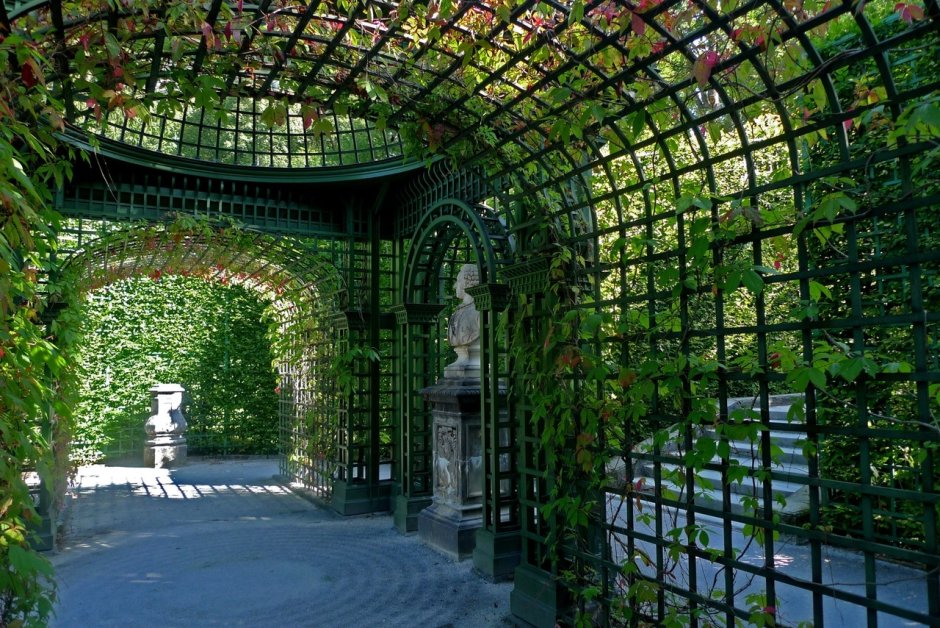 Берсо биндаж