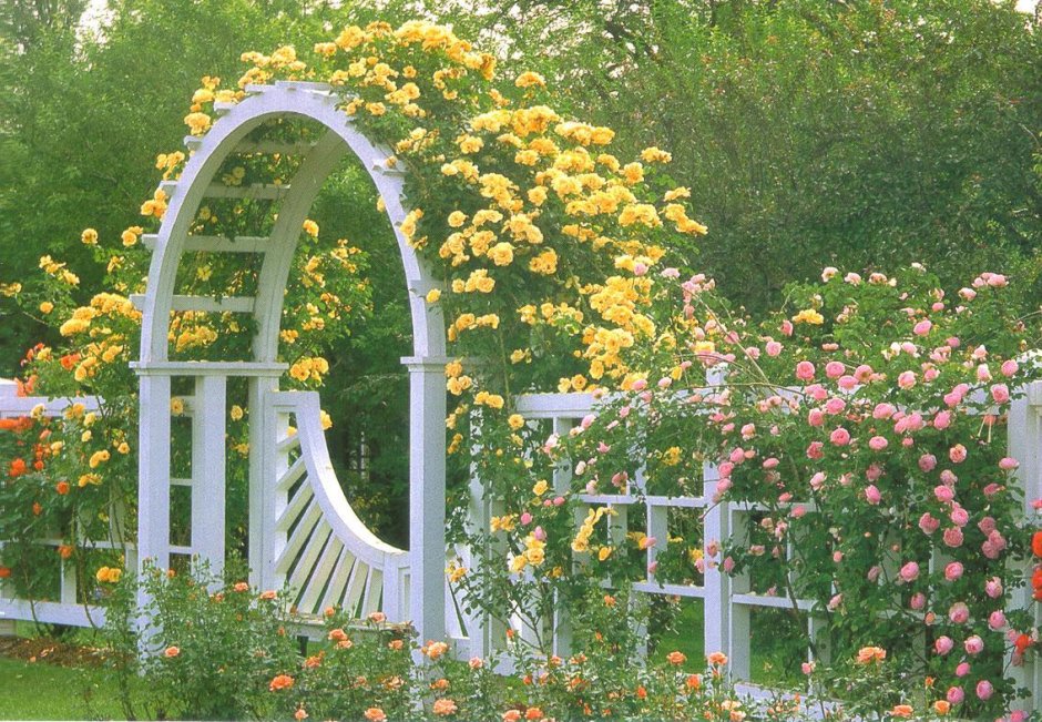 Арка Садовая пергола Розария