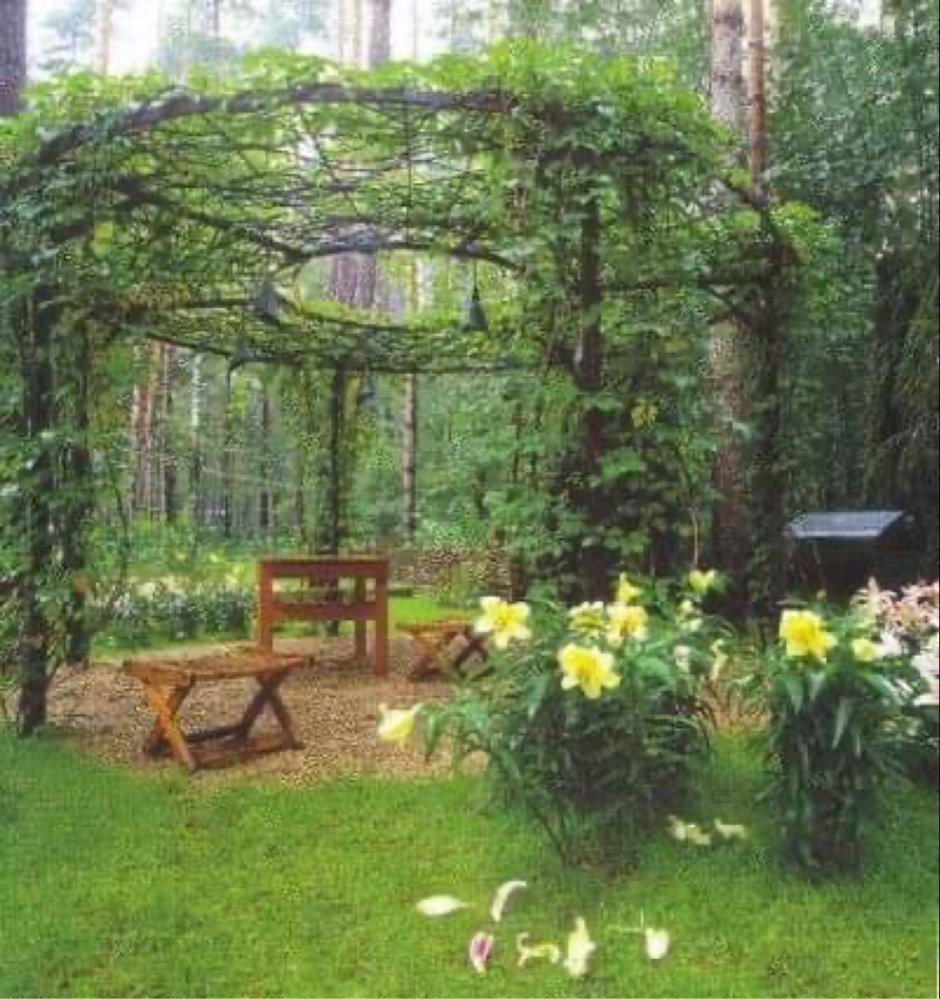 Увитая. Зеленью. Парковая. Беседка