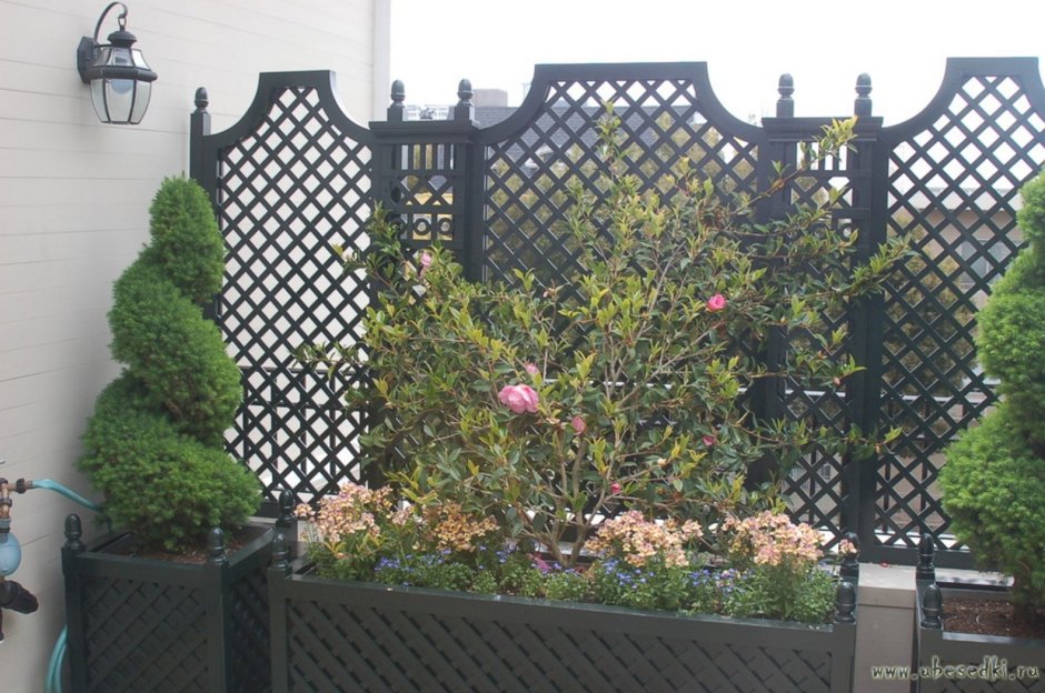 Зонирование участка изгородь