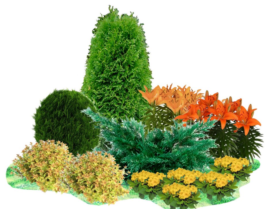 Туя Западная Грин ЭГГ