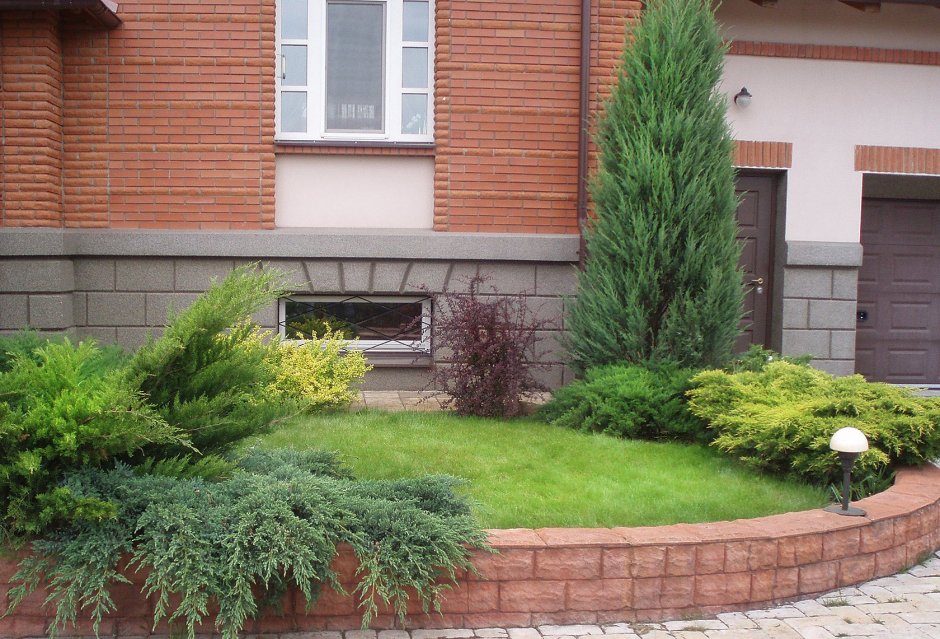 Можжевельник казацкий вдоль дорожек