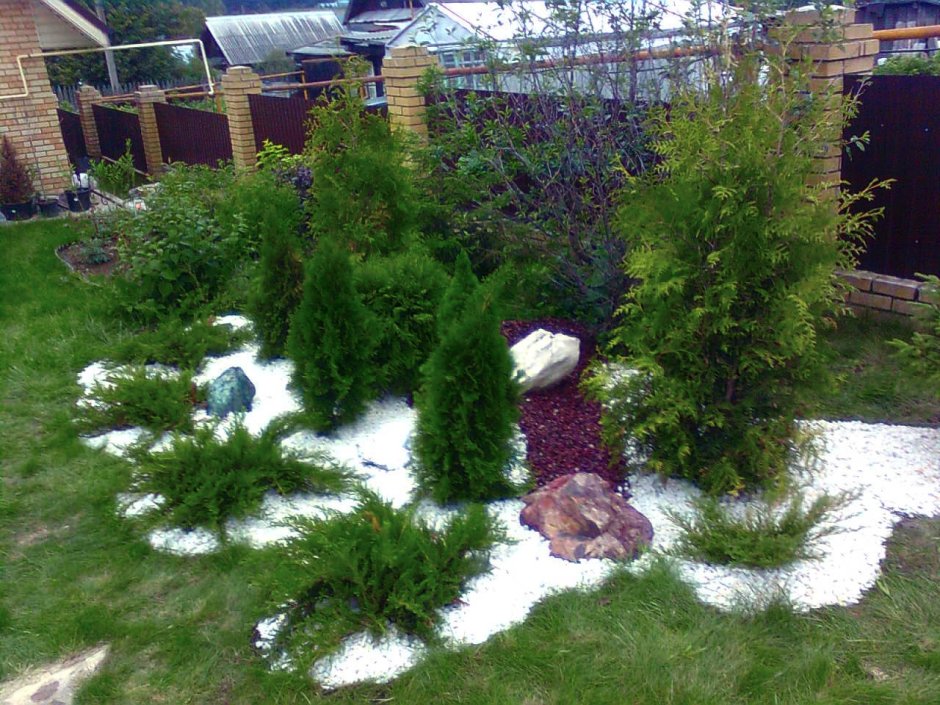 Туя Смарагд в рокарии