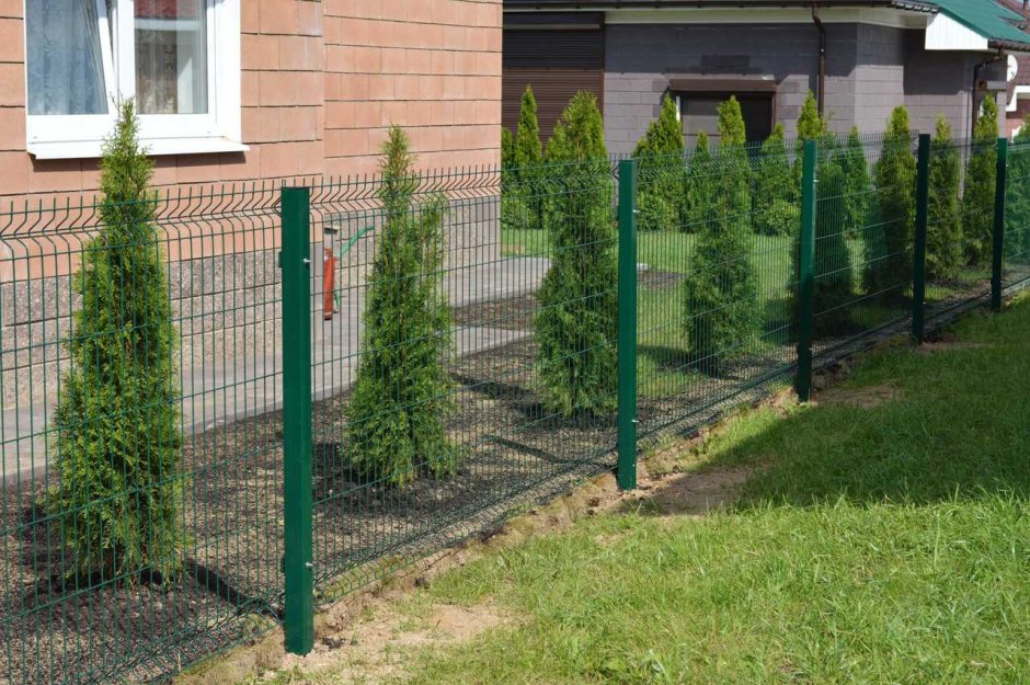 Забор 3д Гиттер