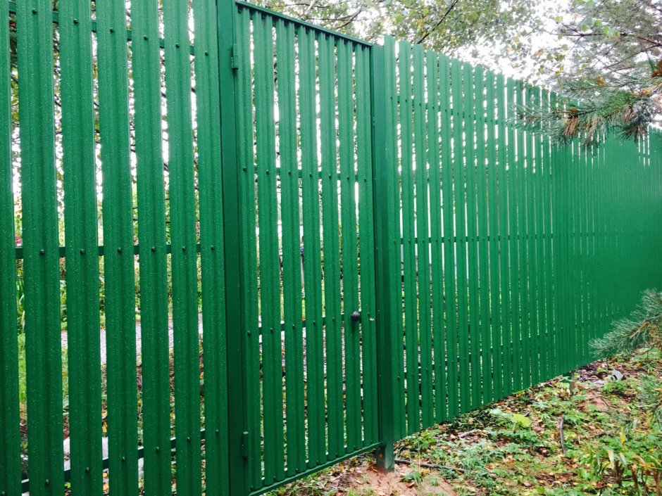 Рал 6002 зеленый лист для евроштакетника