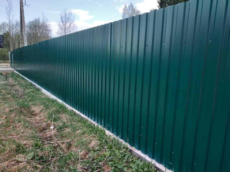 Зеленый забор
