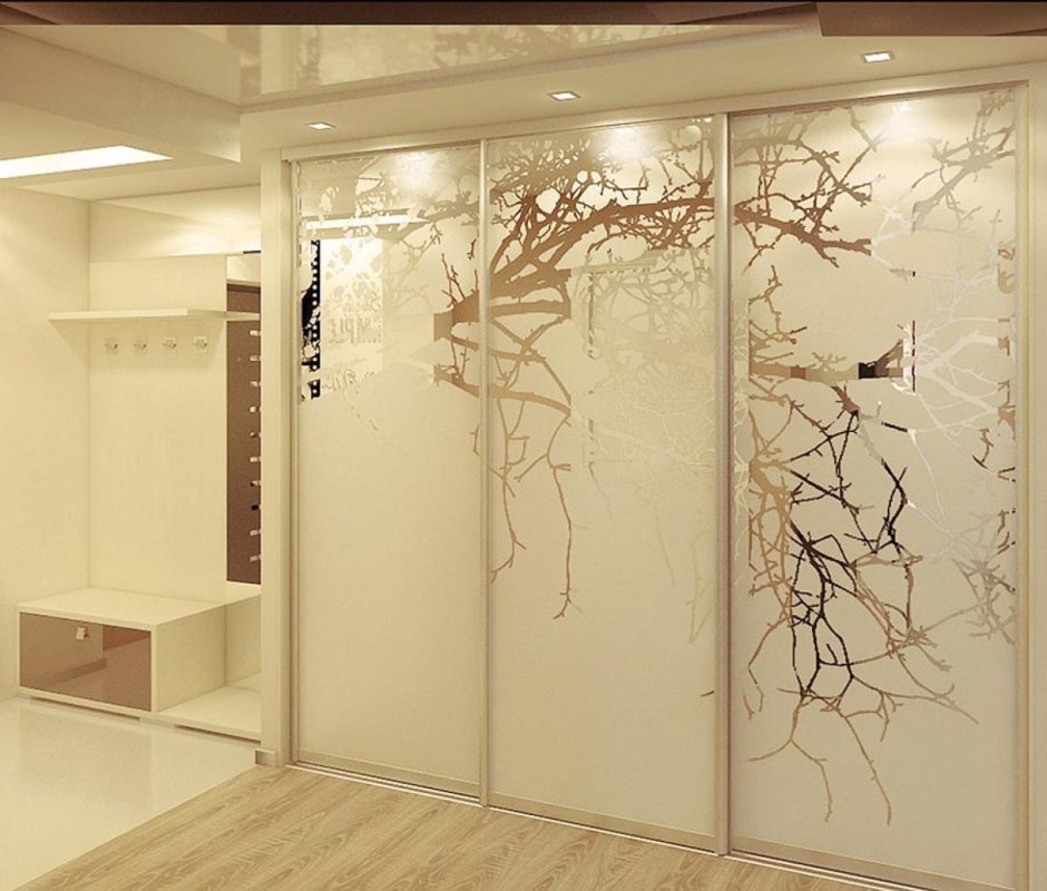 Шкаф купе со стеклянными дверями