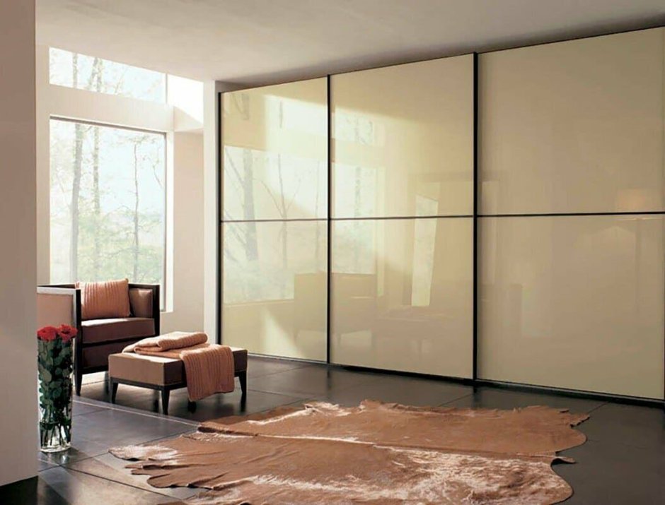 Двери купе Монолак