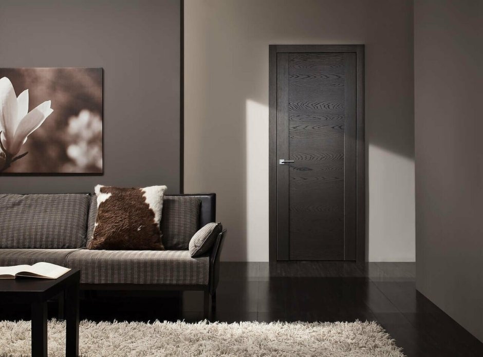 Двери в интерьере