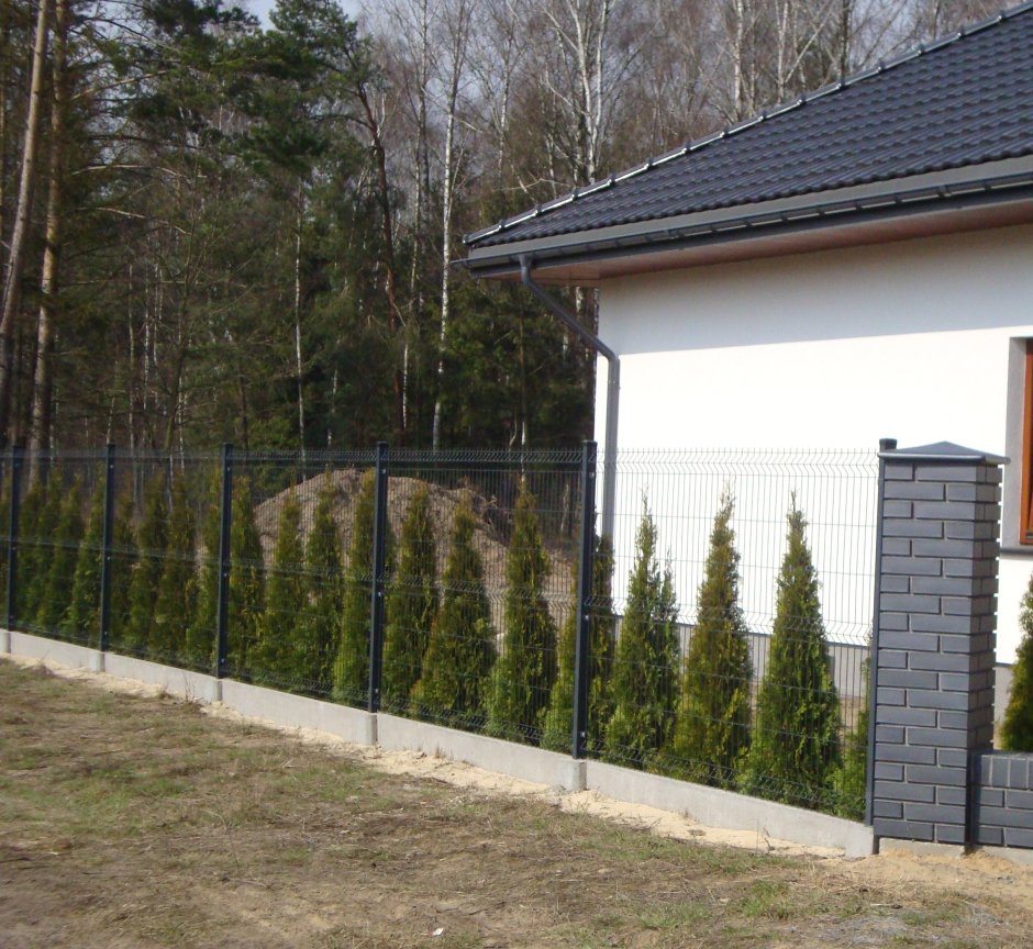 Профлист серый RAL 7024 забор